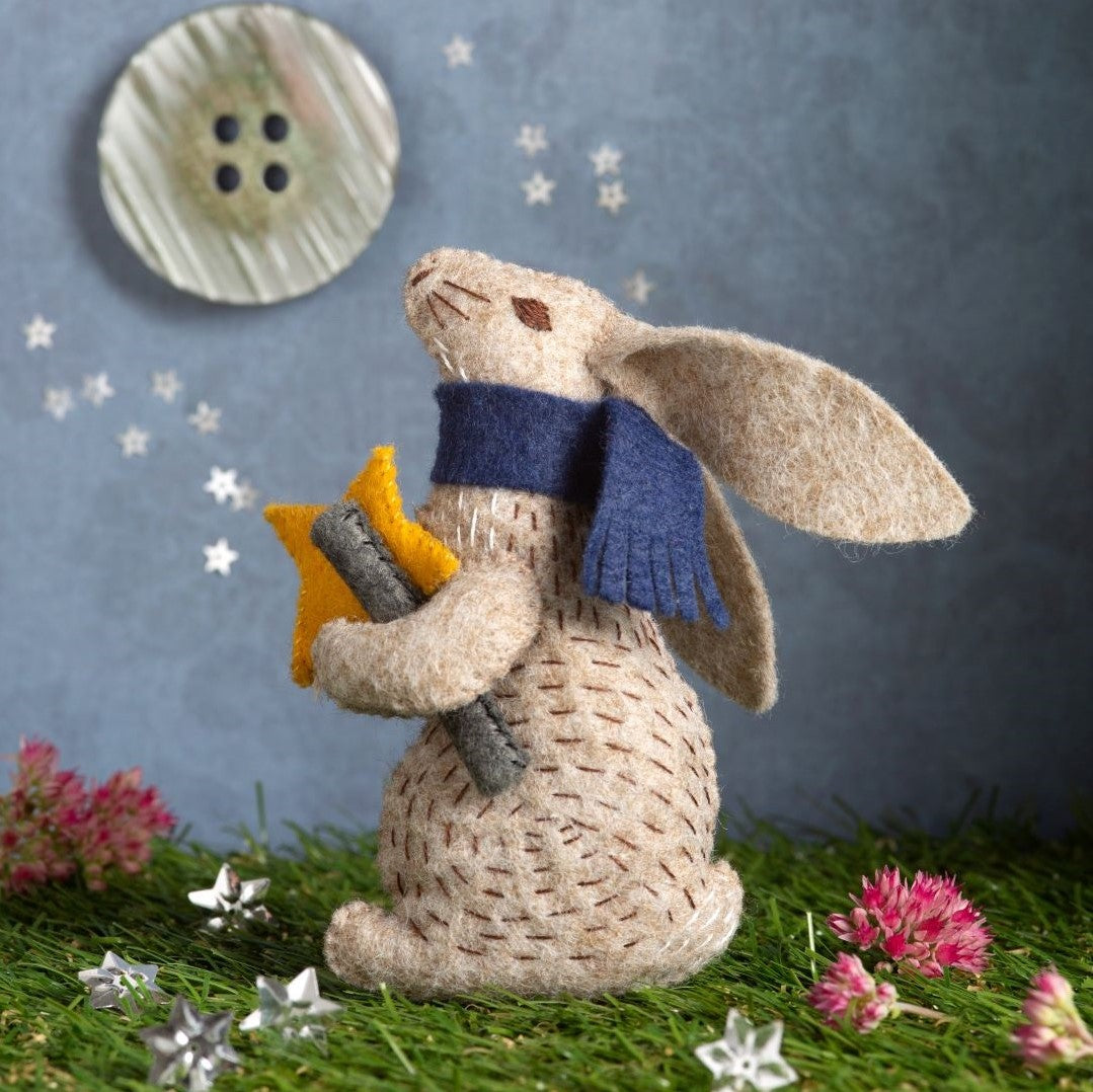 Corinne Lapierre Felt Craft Kit - Professor Hare, Stargazer